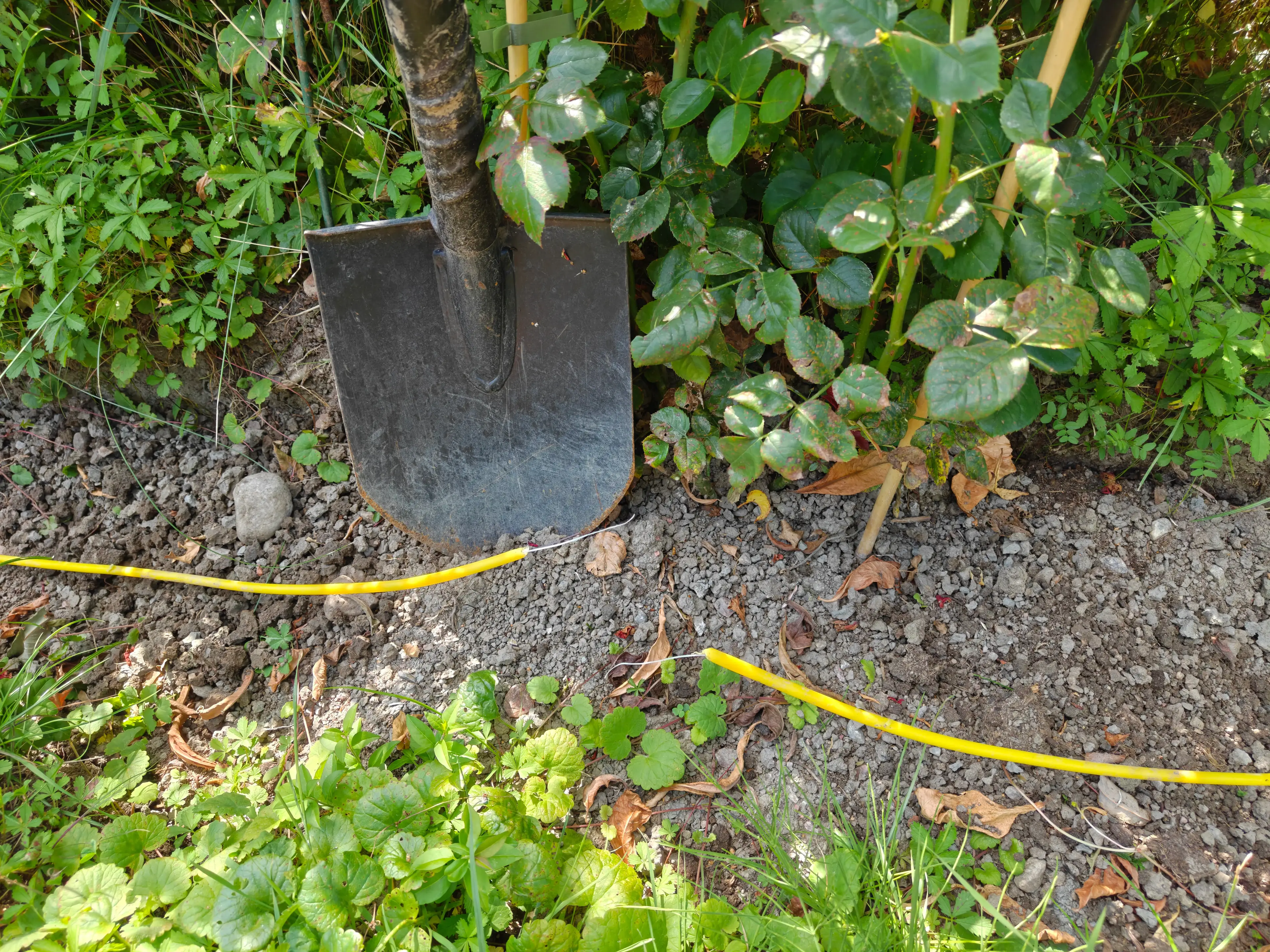 Kapad eller trasig fiberkabel, så löser du olyckan i trädgården och hemmet